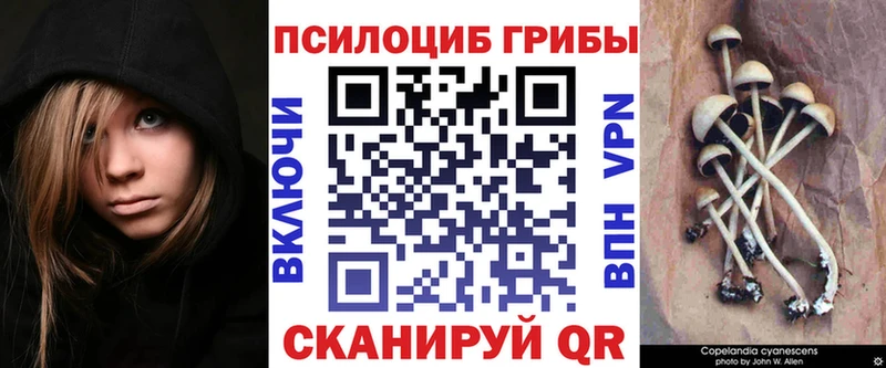 Псилоцибиновые грибы прущие грибы  Купить где  Шуя 